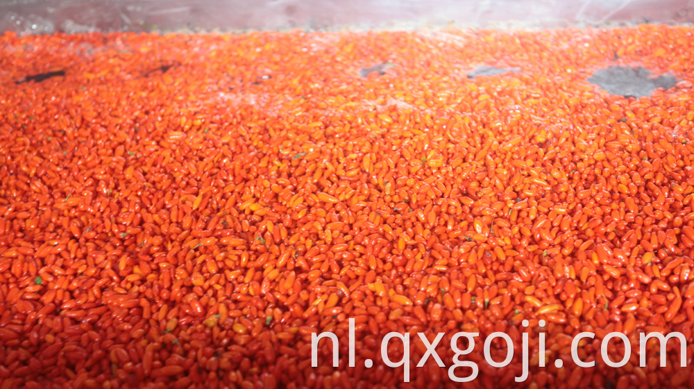 Red Organic Goji Berry